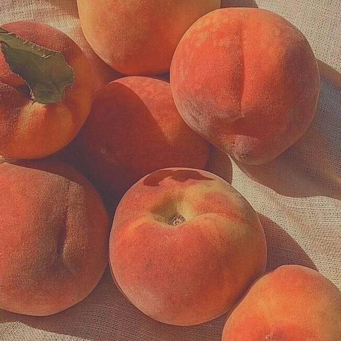 Peach, Please | sweet + peach + vanillin
